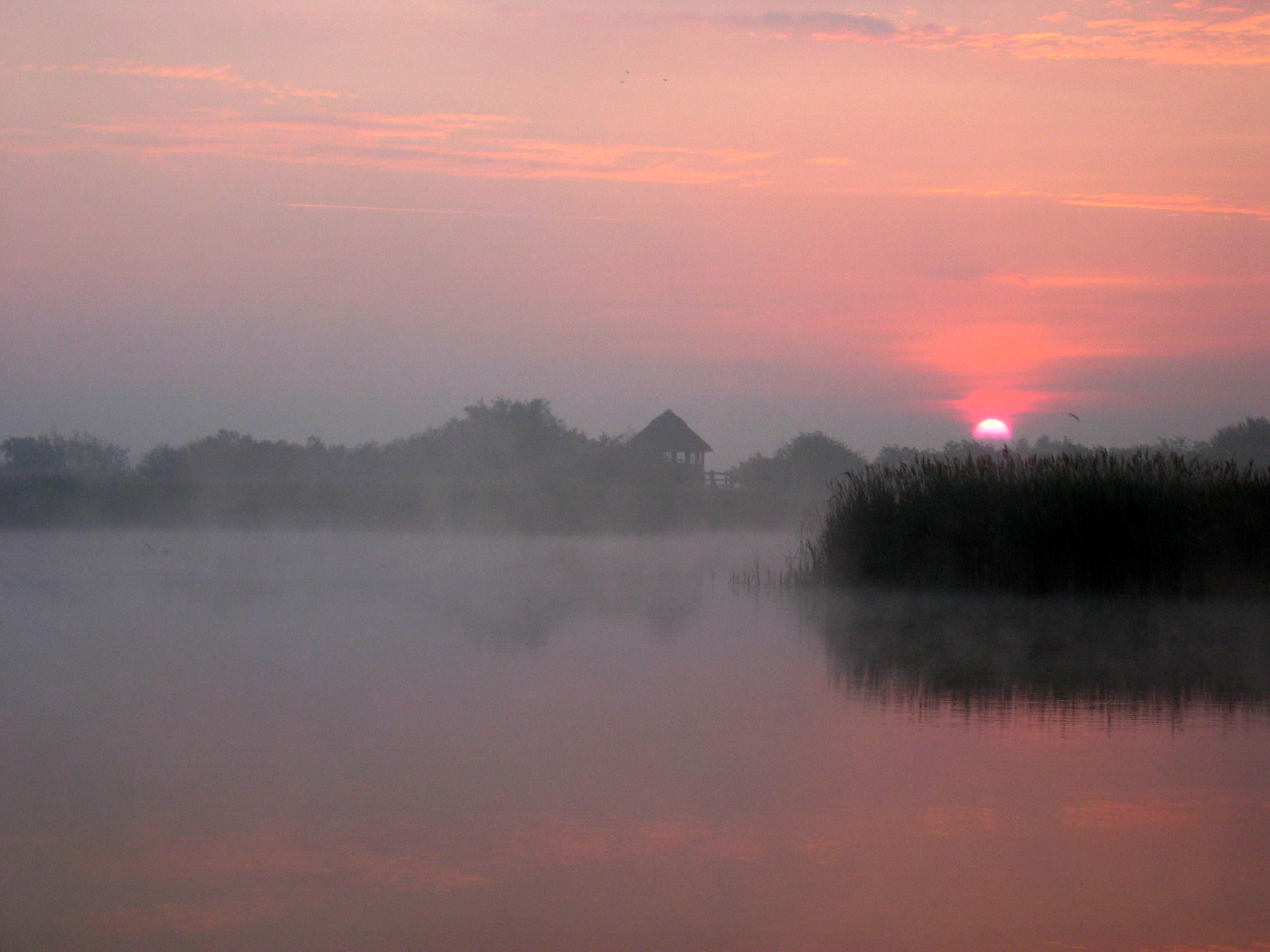 Dawn on Hickling Broad