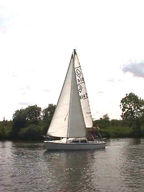 Petrel Jaguar 22 Rivers Race