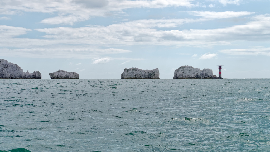 The Iconic Needles