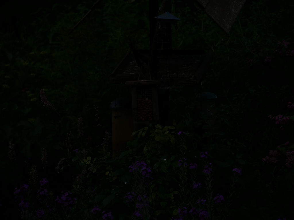 Under Exposed  Photograph Straight Out of Camera Jpeg