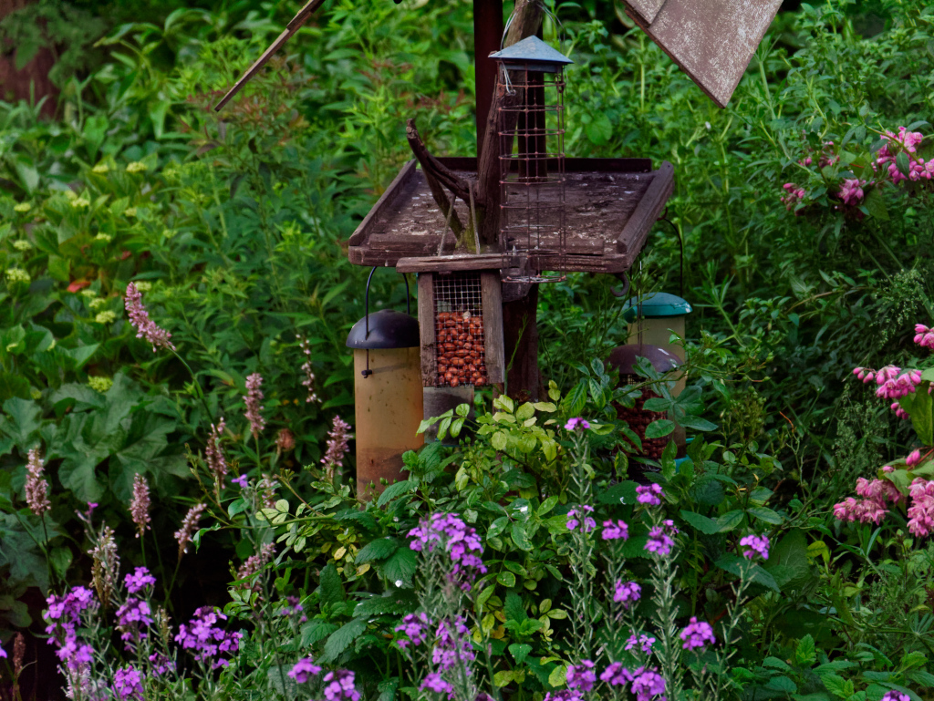 Manually processed Under Exposed photo to retrive data from the RAW file