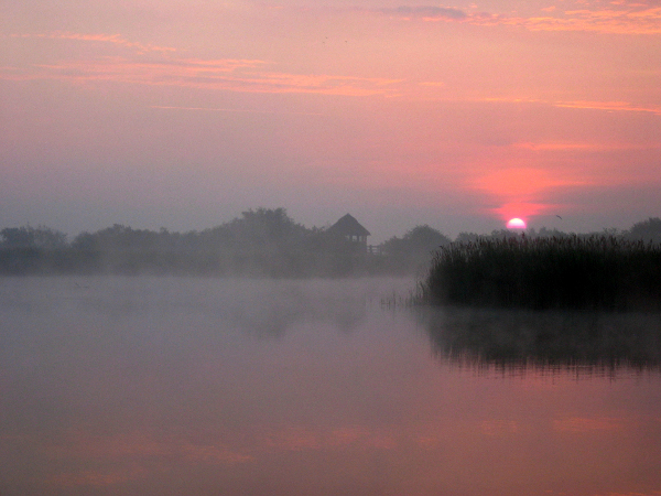 Hickling Broad at Dawn Canon Ixus 400 4mpixel 2003